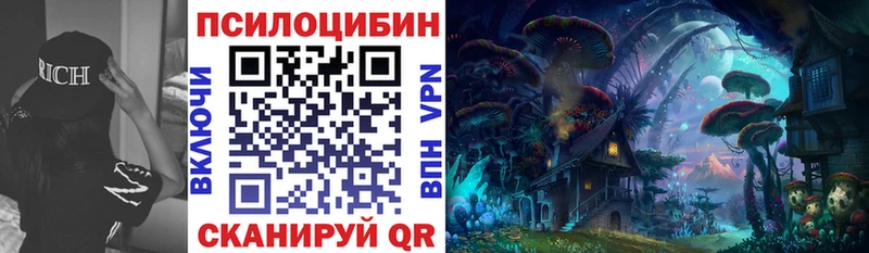 Купить где  Тетюши  Псилоцибиновые грибы Psilocybe 